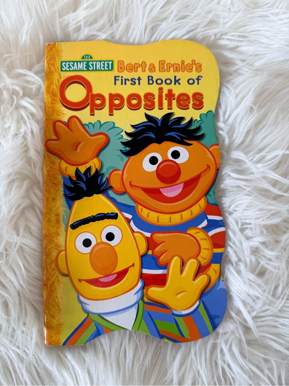 💫10/$25 • Sesame Street Bert & Ernie Opposites Board Book